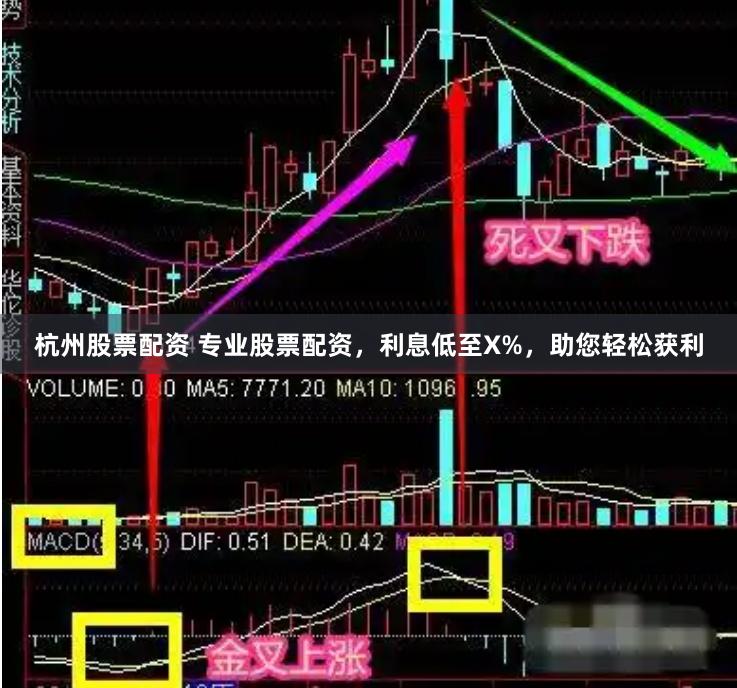 杭州股票配资 专业股票配资，利息低至X%，助您轻松获利
