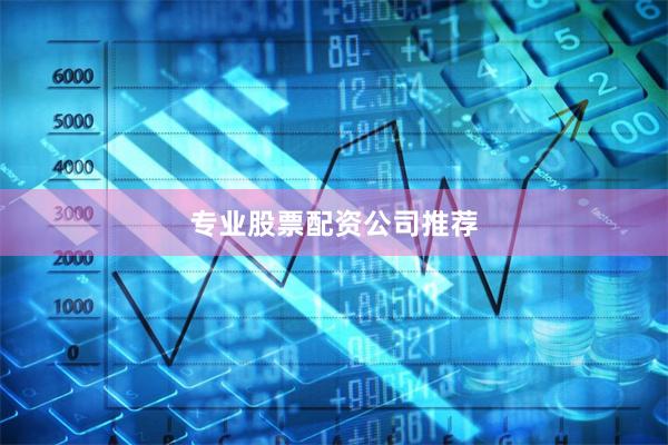 专业股票配资公司推荐
